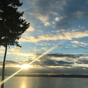 Meet your Posher, Ali